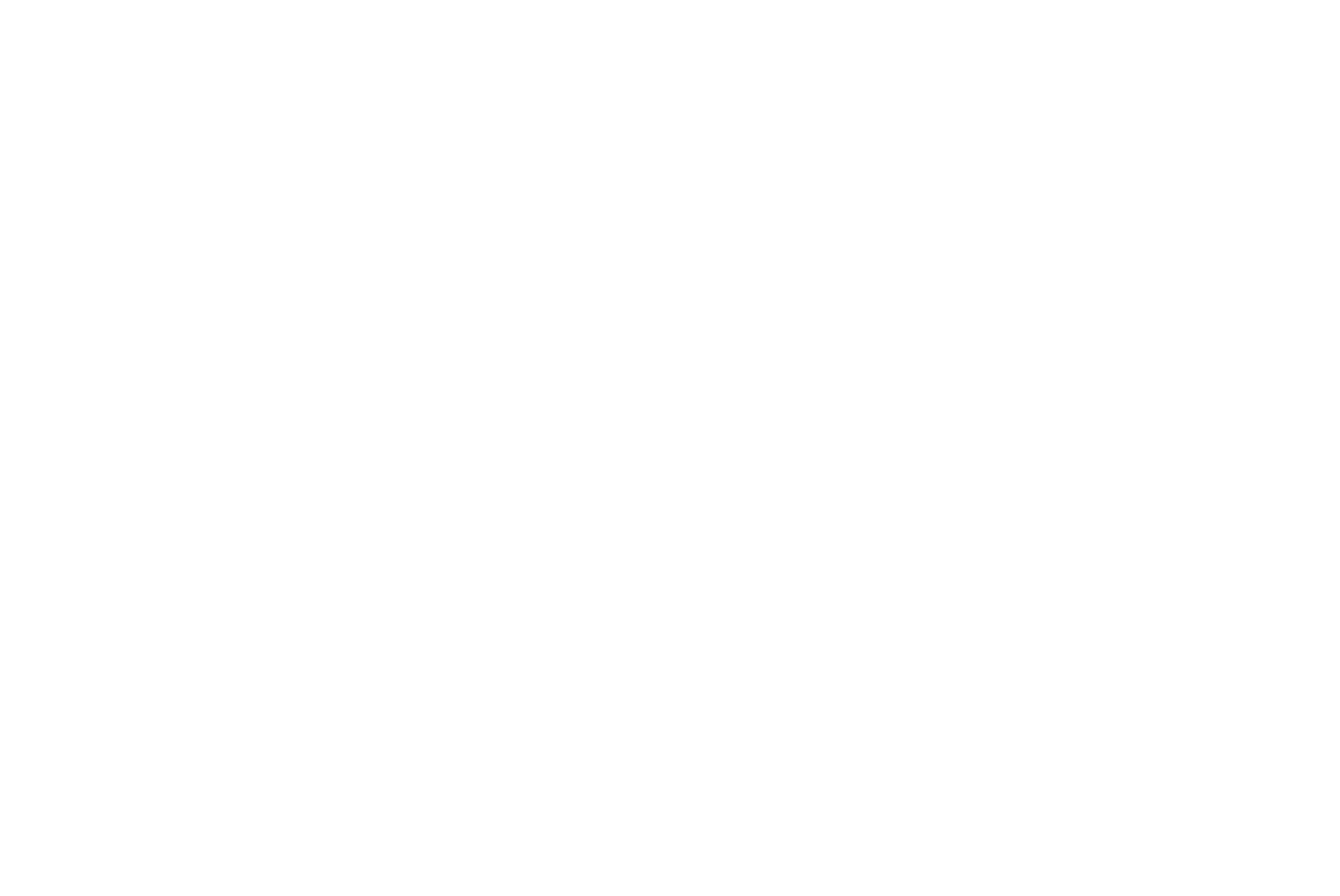 Network
